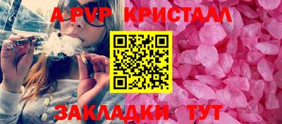 гидра Рязань