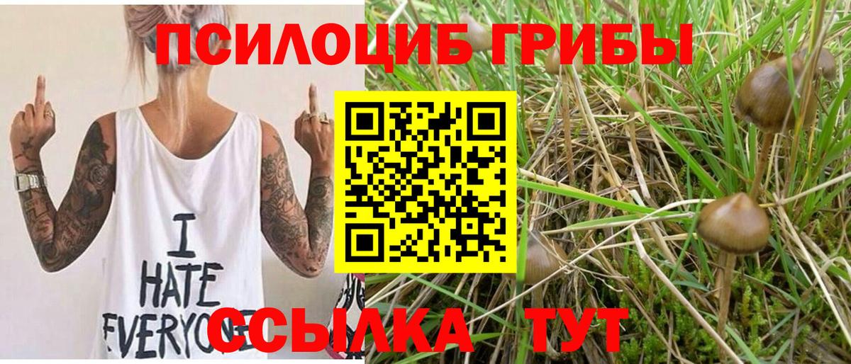 Ухта  Псилоцибиновые грибы Psilocybe  Вход с VPN 